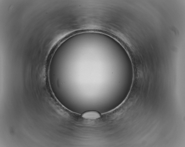X0000111431364200907131214