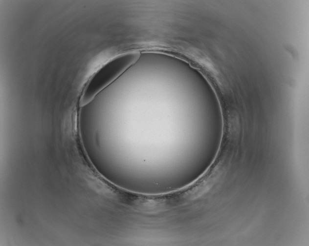 X0000111431365200907131214