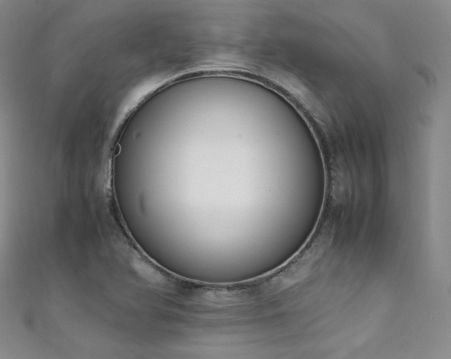X0000111431366200907131214