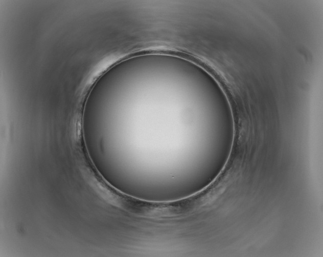 X0000111431367200907131214