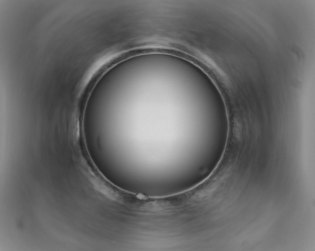 X0000111431368200907131214