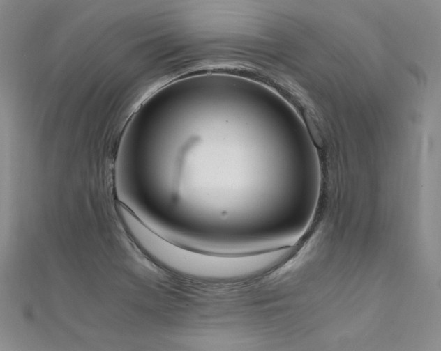 X0000111431369200907131214