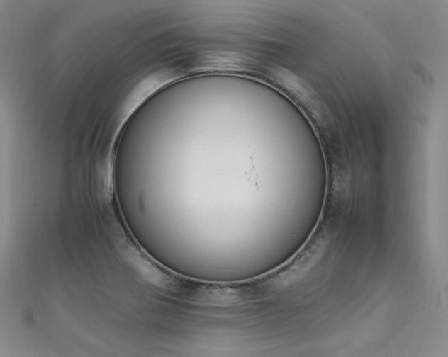 X0000111431370200907131214