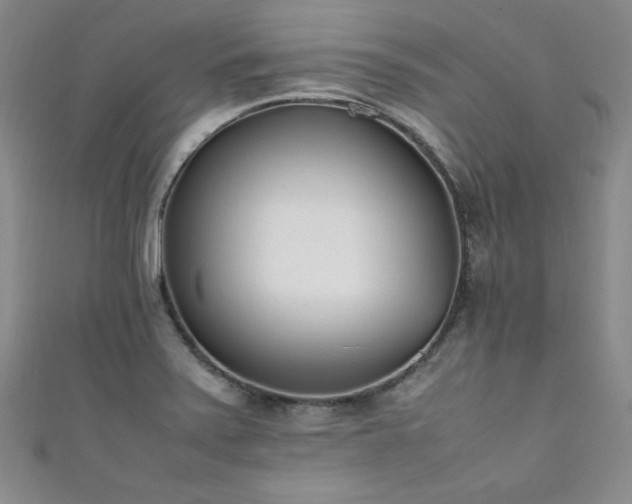 X0000111431371200907131214