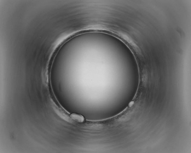 X0000111431372200907131214