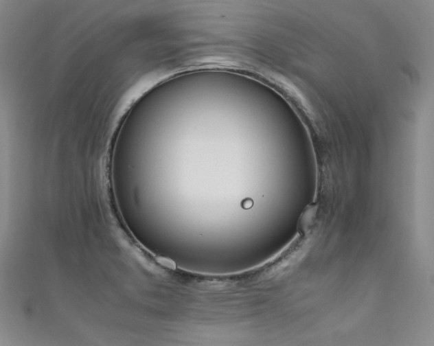 X0000111431373200907131214
