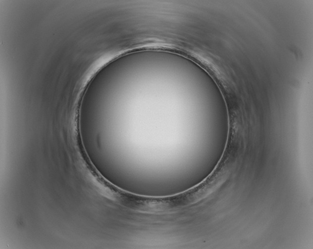X0000111431375200907131214