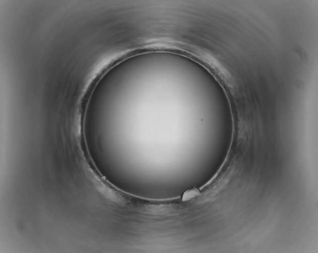 X0000111431376200907131214