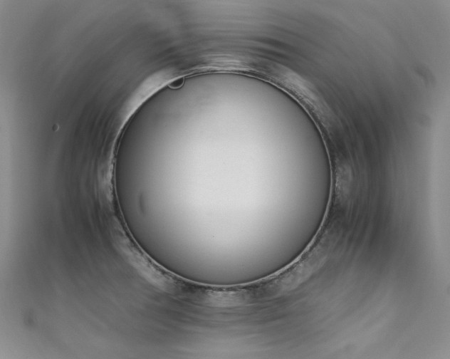 X0000111431378200907131214