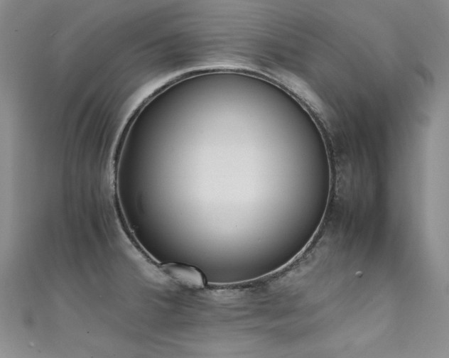 X0000111431380200907131214