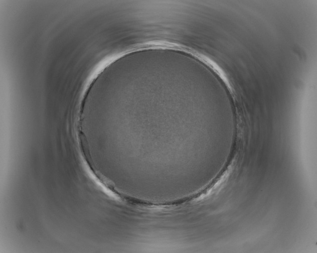 X0000111431381200907131214