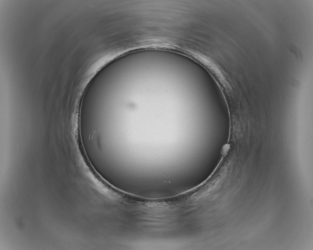 X0000111431383200907131214