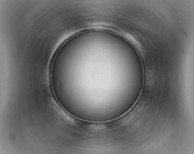 X0000111431384200907131214