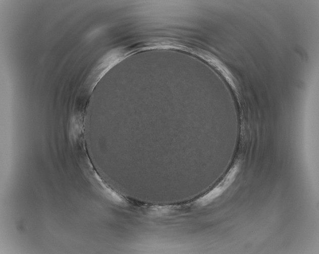 X0000111431385200907131214