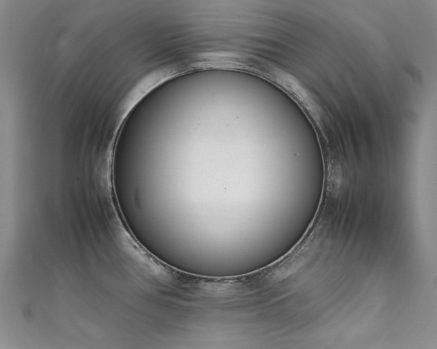 X0000111431386200907131214