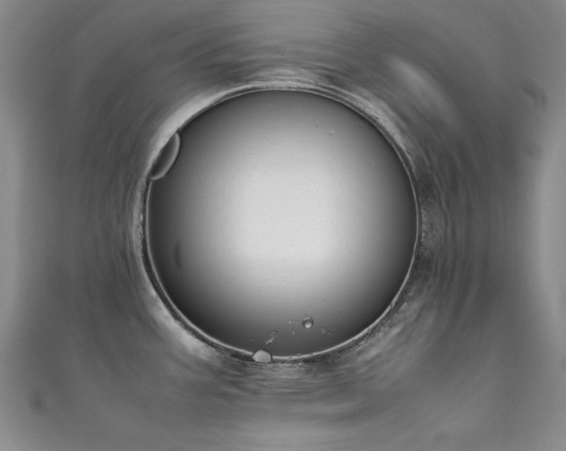 X0000111431387200907131214