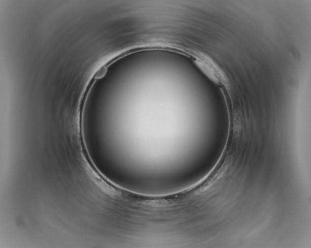 X0000111431388200907131214