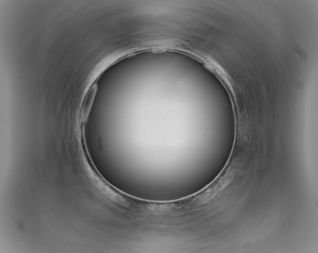 X0000111431389200907131214