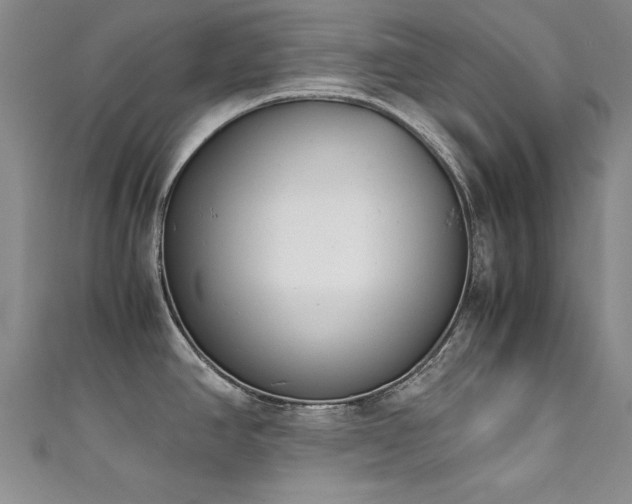 X0000111431390200907131214