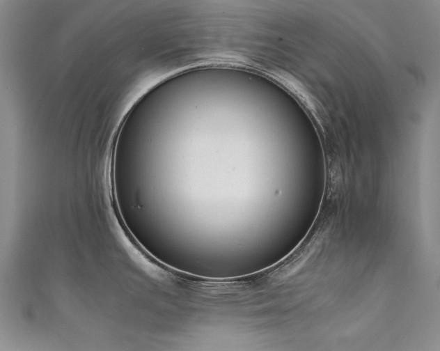 X0000111431391200907131214