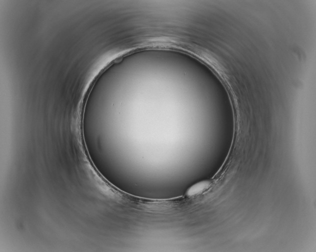X0000111431392200907131214