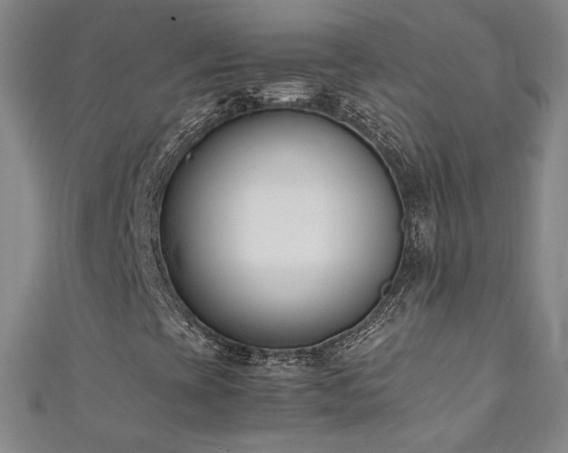 X0000111431393200907131213