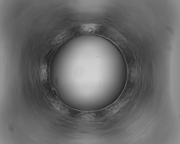 X0000111431394200907131213
