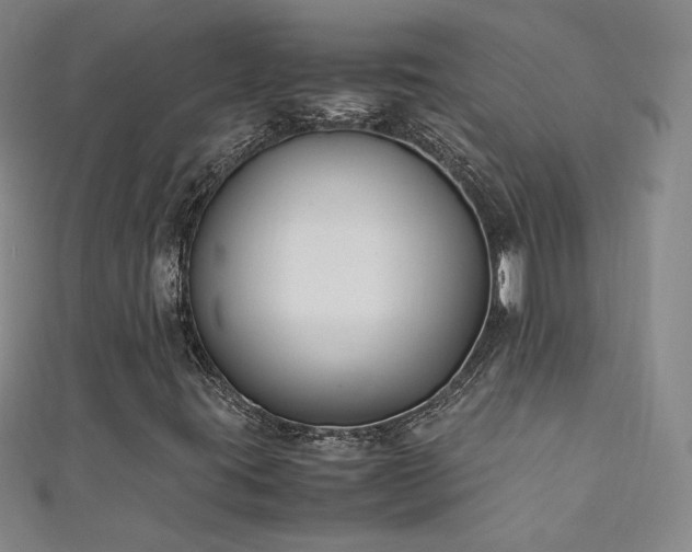 X0000111431395200907131213