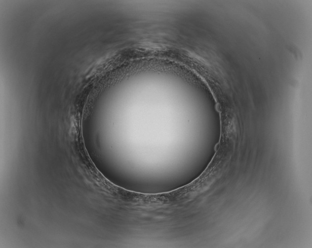 X0000111431397200907131213