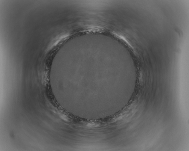 X0000111431399200907131213