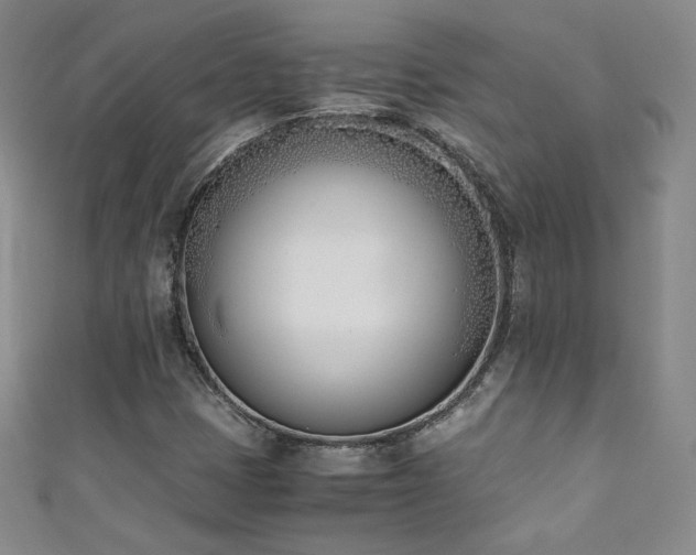 X0000111431401200907131213