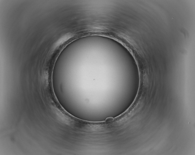 X0000111431402200907131213