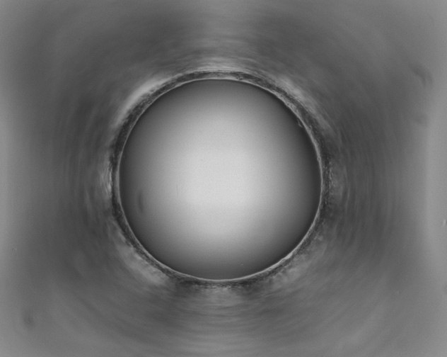 X0000111431408200907131213