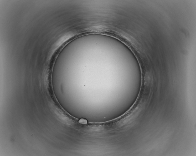 X0000111431410200907131213