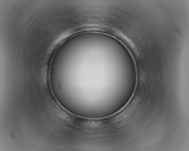 X0000111431411200907131213