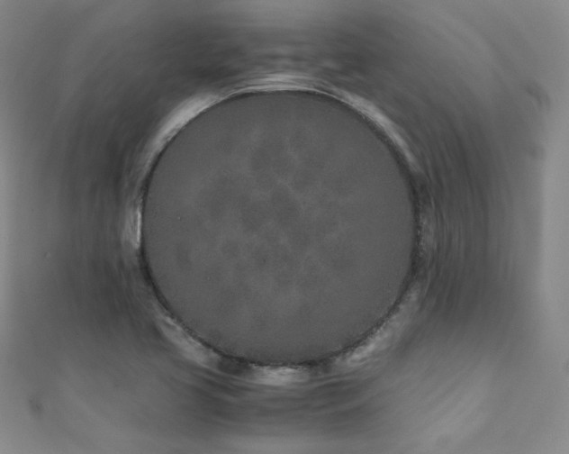 X0000111431413200907131213