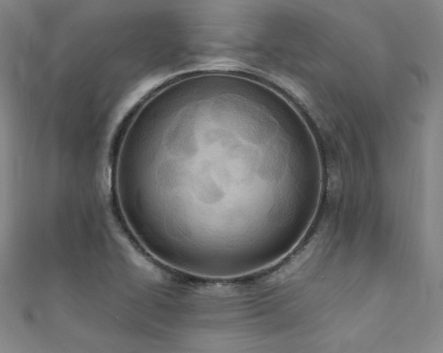 X0000111431414200907131213