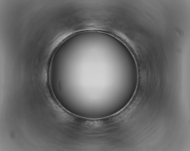 X0000111431415200907131213