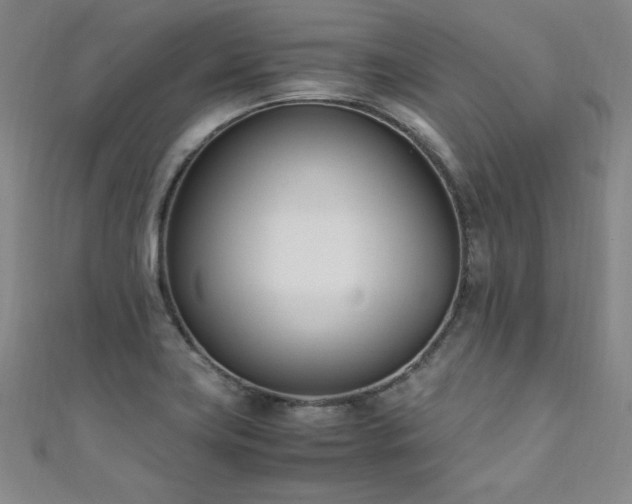 X0000111431419200907131213
