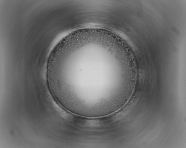 X0000111431421200907131213