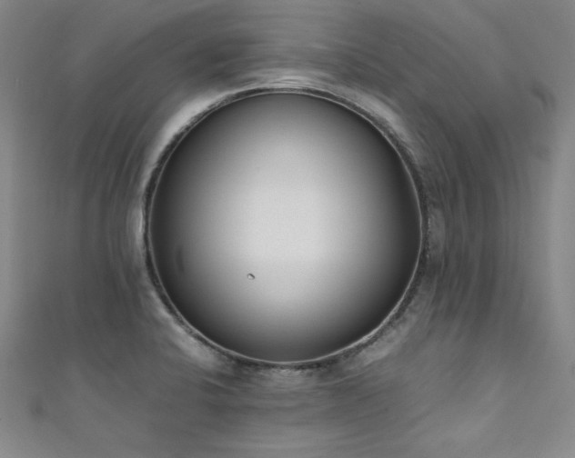 X0000111431424200907131213