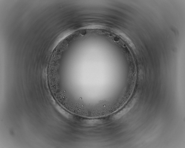 X0000111431425200907131213