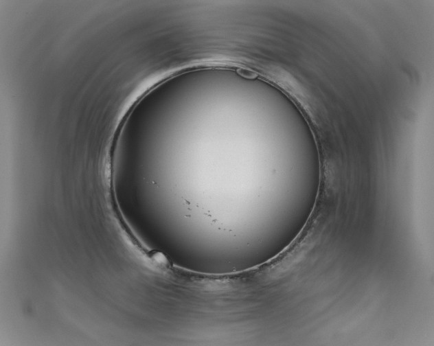 X0000111431428200907131213