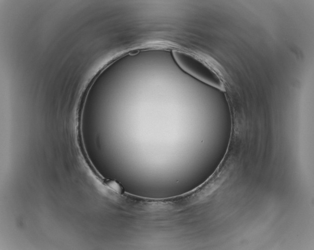 X0000111431430200907131213