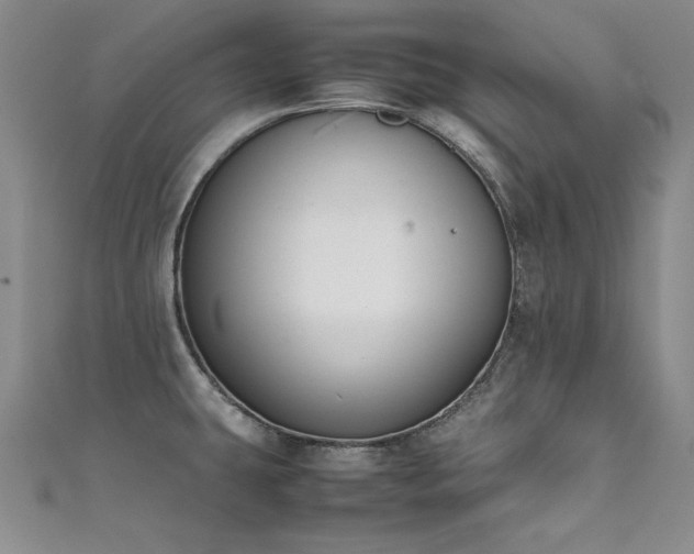 X0000111431431200907131213