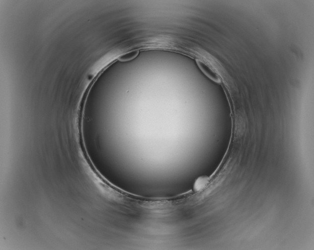 X0000111431434200907131213