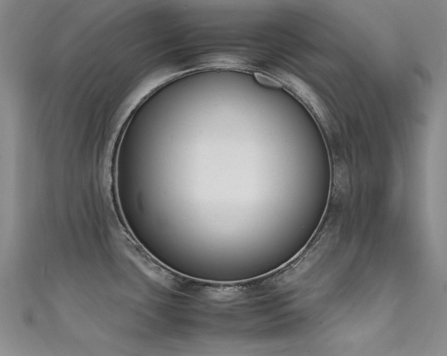 X0000111431435200907131213