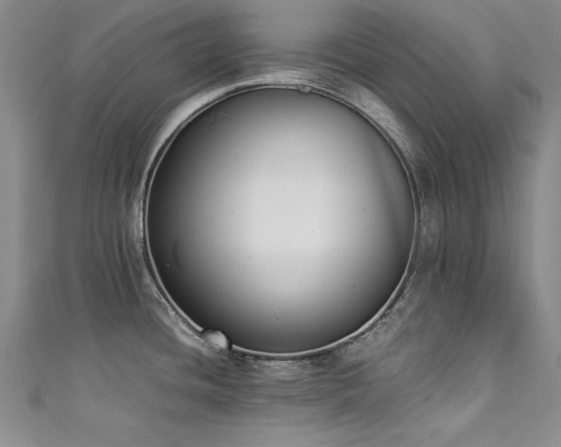 X0000111431436200907131213