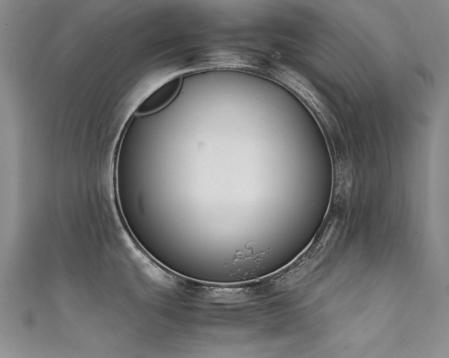 X0000111431439200907131214
