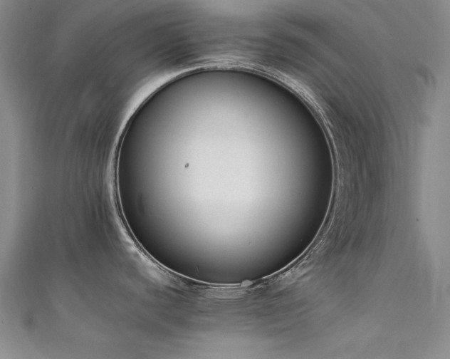 X0000111431440200907131214